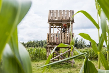 Groepsaccommodatie; Recreatieterrein 1; Uitkijktor